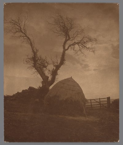 The Curfew of the Sun by Frank Meadow Sutcliffe