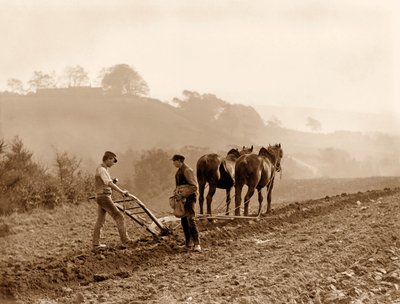 Farmers Ploughing a Field on Lealholm Hall Farm, Whitby. c.1889 by Frank Meadow Sutcliffe