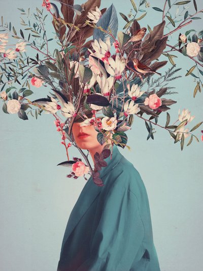 I Was Hidden but You Saw Me by Frank Moth