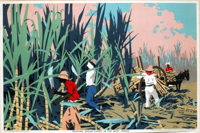 Reaping Sugar Canes in the West Indies by Frank Newbould