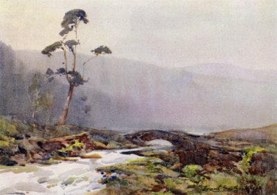 A Moorland Stream by Frank Southgate