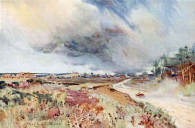Heath near Sandringham by Frank Southgate