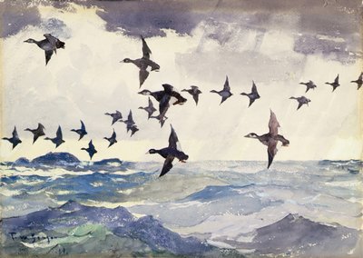 Scoters over Water by Frank Weston Benson