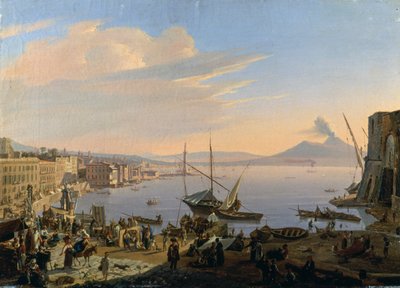 View of Naples with Vesuvius in the Background by François Vervloet