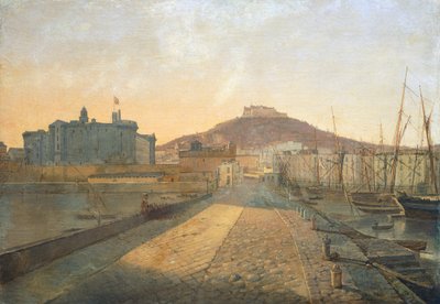 View of the Certosa of San Martino and Sant
