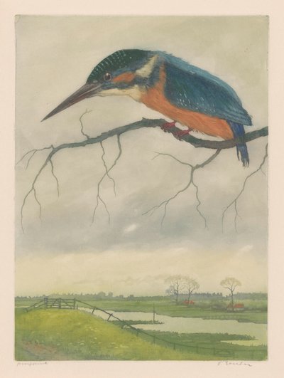 Kingfisher on a branch in a meadow landscape by Frans Everbag (signed by artist)