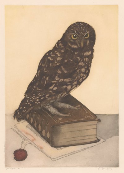 Owl Sitting on a Book by Frans Everbag (signed by artist)