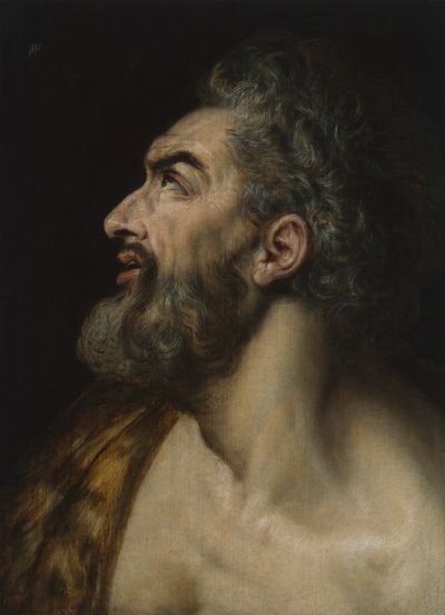 Study Head of a Bearded Man by Frans Floris
