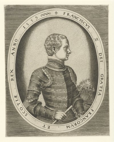 Portrait of Francis II of France by Frans Huys