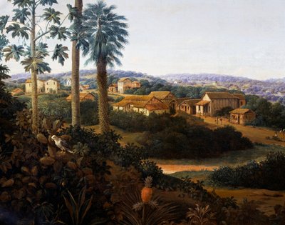 Serinhaem village in Brazil or The home of a sugar cane planter in Brazil by Frans Post