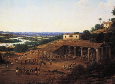 Sugarcane Mills in Brazil, by Frans Post by Frans Post