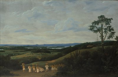 A Brazilian Landscape, 1650 by Frans Post