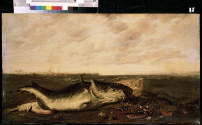Fish and lobster on seashore by Frans Ryckhals