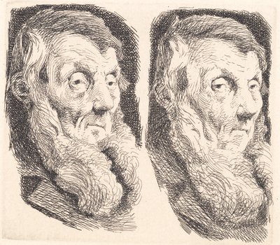 Test Plate of an Old Bearded Man, Turned to the Right Twice by Frans Schwartz