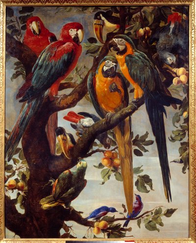 Parrots and other birds by Frans Snyders