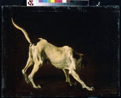 A Dog by Frans Snyders or Snijders