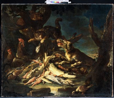 Fish by Frans Snyders or Snijders