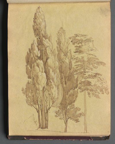 Album with Views of Rome and Surroundings, Landscape Studies, Page 15a: Trees by Franz Johann Heinrich Nadorp