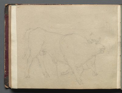 Album with Views of Rome and Surroundings, Landscape Studies, Page 51b: Study of a Bull by Franz Johann Heinrich Nadorp