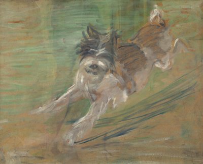 Jumping Dog 