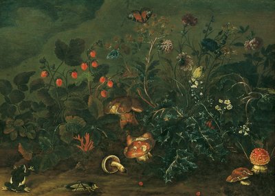 Lawn with Strawberries and Cricket by Franz Michael Siegmund von Purgau d. Ä.