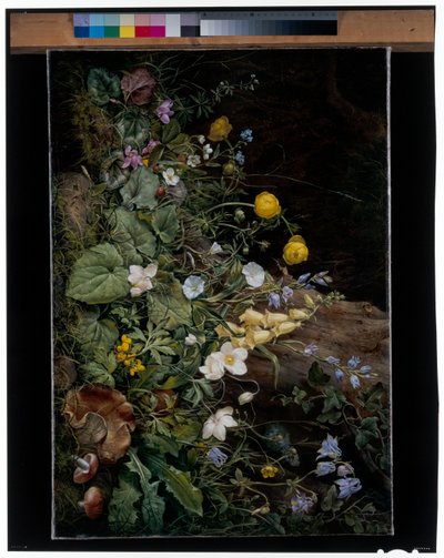 Wildflowers at the base of a tree by Franz Xavier Petter