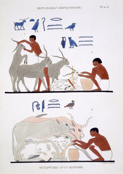 Veterinary Work, from a Rare Record of Frescoes from Thebes, recorded 1819-1822 on his second visit to Egypt by Frederic Cailliaud by Frederic (after) Cailliaud