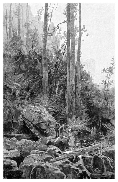 A Gully in the Blue Mountains, Australia by Frederic B. Schell