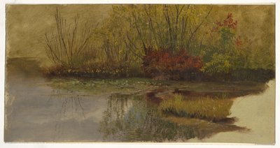 A Corner of a Pond by Frederic Edwin Church