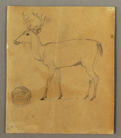 A Standing Stag by Frederic Edwin Church