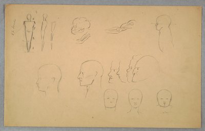 Anatomical Studies by Frederic Edwin Church