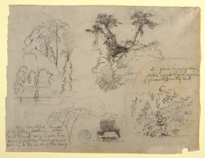 Botanical Studies and a House, probably from Colombia by Frederic Edwin Church