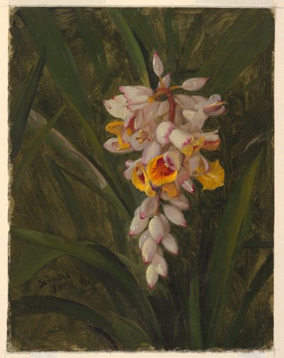 Cardamum by Frederic Edwin Church