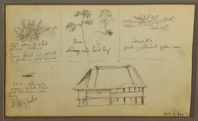 A Fort; Botanical Sketches, House, 1857 by Frederic Edwin Church
