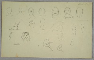 Anatomical Studies, 1865–70 by Frederic Edwin Church