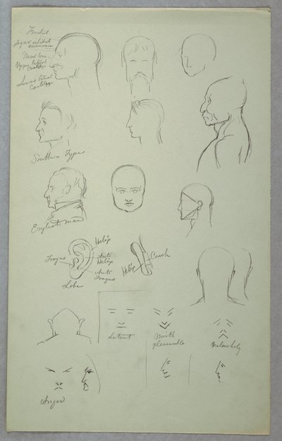 Anatomical Studies, 1865–70 by Frederic Edwin Church