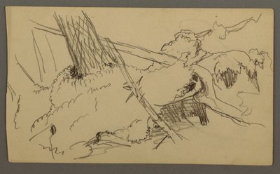 Base of Tree, Boulder, possibly 1877 by Frederic Edwin Church
