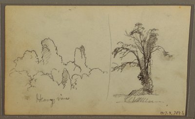 Birds, "Rock in Panama Bay"; Verso: "Heavy Vines", May 15, 1857 by Frederic Edwin Church