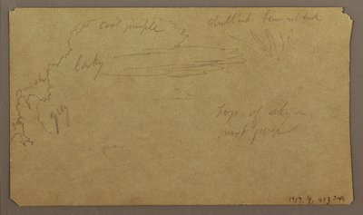 Botanical Sketches; Verso: Clouds, July 1865 by Frederic Edwin Church