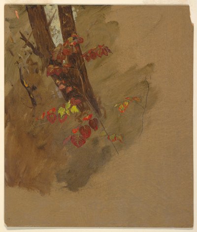 Botanical Studies, 1860–70 by Frederic Edwin Church