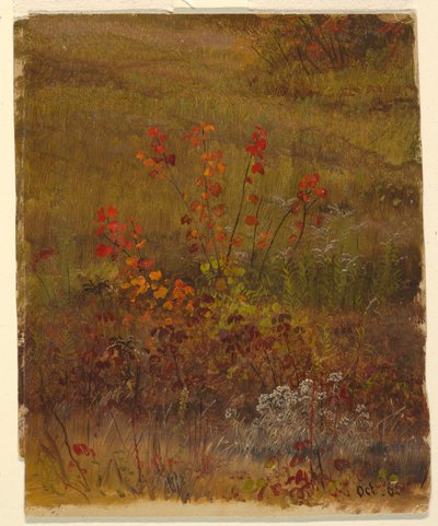 Botanical Studies, October 1865 by Frederic Edwin Church