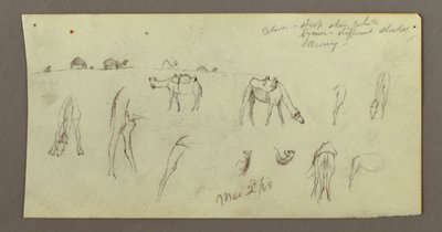 Camel Studies, March 2, 1868 by Frederic Edwin Church