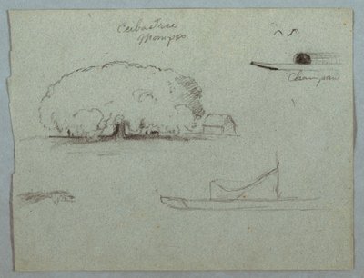 Ceiba Tree at Mompos, Champan Canoe, Trees, and a Partial Boat, Rio Magdalena, Colombia, 1853 by Frederic Edwin Church