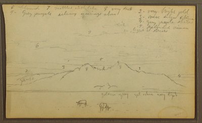 Cows in Landscape; Verso: Bamboo, 1857 by Frederic Edwin Church