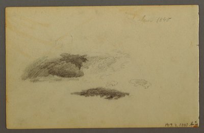 Decayed Birch by Frederic Edwin Church