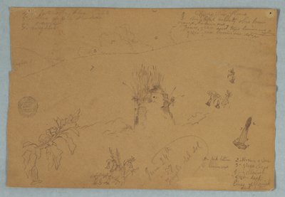 Botanical and Cloud Sketches Near Quito, Ecuador, June 24, 1857 by Frederic Edwin Church