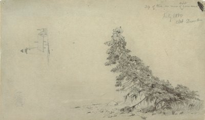 Evergreen Tree Near the Shore with a Detail of the Lighthouse and a House, Mount Desert, Maine, July 1850 by Frederic Edwin Church