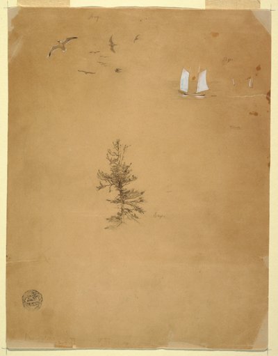 Gulls, Sailboats, Tree, August and September 1859 by Frederic Edwin Church