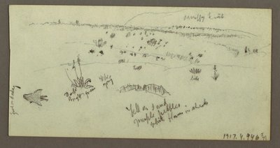 Hill, Shrubbery, Figure, Camel Studies, possibly 1868 by Frederic Edwin Church