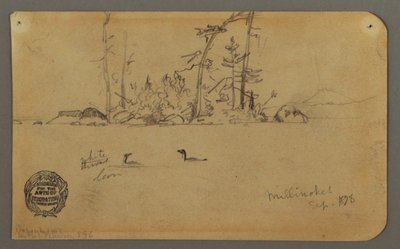 Island, Two loons, 1878 by Frederic Edwin Church